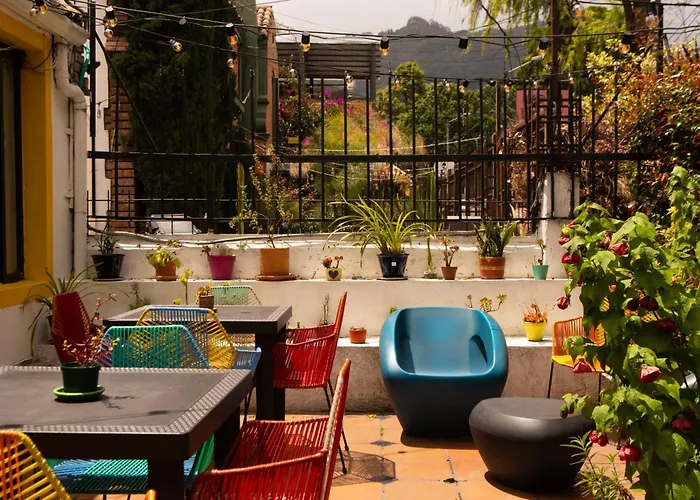 Vecinos by La Palmera Bogotá